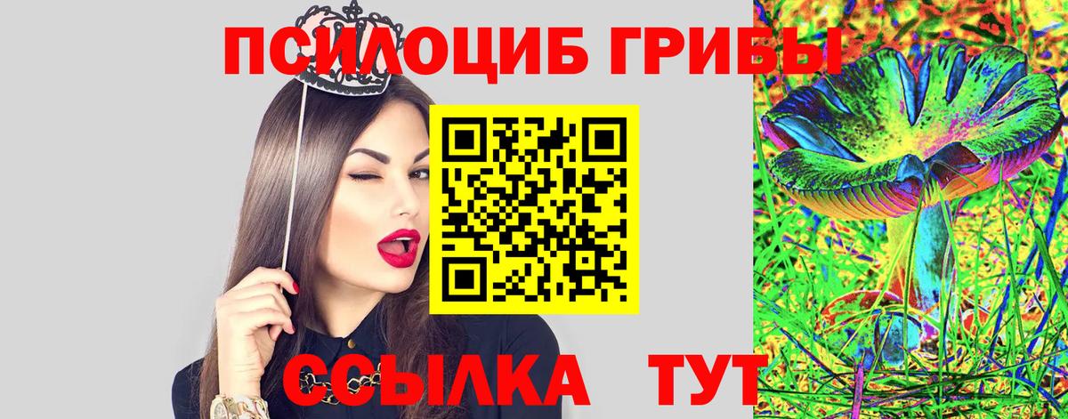 Псилоцибиновые грибы мицелий Котельники